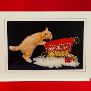 Kerst kat kaart-rode Cyperse kitten op zoek in slee-vakantie wenskaart voor kattenliefhebbers