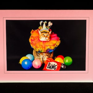 Clown Cat Card-Cat in Circus-All Occasion Carte de vœux vierge pour les amoureux des chats