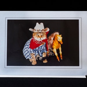Cartão de gato cowboy - gato vestido de cowboy - cartão comemorativo para todas as ocasiões para amantes de gatos
