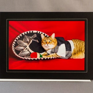 Cinco de Mayo Cat Card-Cat With Sombrero-Holiday Greeting Card for Cat Lovers