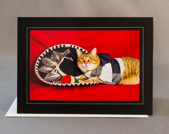 Cinco de Mayo Cat Card-Cat avec carte de vœux Sombrero-Holiday pour les amoureux des chats