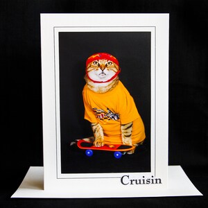 Chat sur carte de skateboard-Chat portant un casque-Carte de vœux pour toutes les occasions pour les amoureux des chats