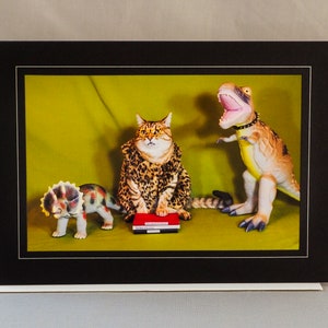 Caveman Cat Card-All Occasion Greeting Card for Cat Lovers