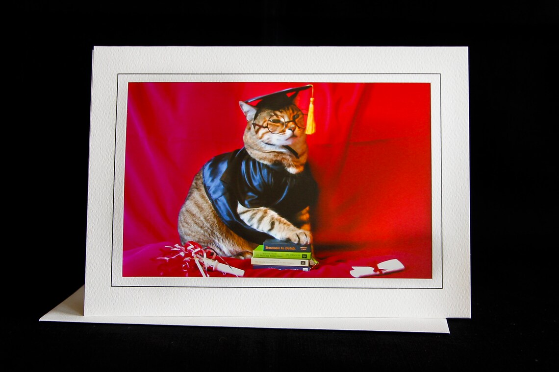 graduation autograph cat