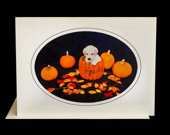 Halloween Dog Card-Puppy Sitting in Pumpkin Patch-Holiday Greeting Card for Dog Lovers