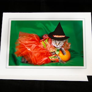 Halloween Cat Card-Cat in Witch Hat-Holiday Greeting Card for Cat Lovers