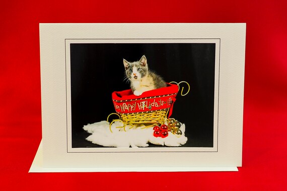Christmas Cat Card-kitten Sitting in Sleigh-holiday Greeting Card