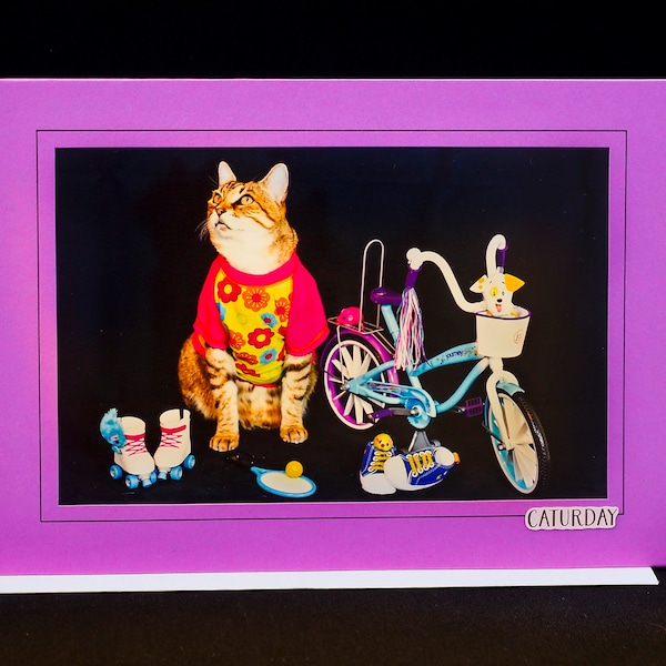 Triathlete Cat Card-Exercise Cat-All Occasion Blank Greeting Card for Cat Lovers