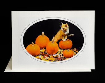 Halloween Cat Card-Red Tabby Kitten in Pumpkin Patch-Holiday Greeting Card for Cat Lovers