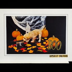 May include: A Halloween-themed greeting card featuring a golden puppy sniffing a black container with "Boo!" written on it. Orange pumpkins, fall leaves, and the word "BOO" in gold glitter are also present. The text "ENTER IF YOU DARE" is at the bottom.