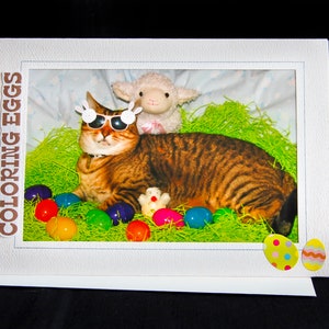 Easter Cat Card-Cat Coloring Easter Eggs-Holiday Greeting Card for Cat Lovers