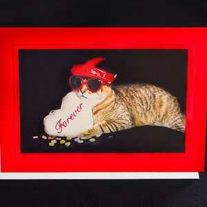 Carte de chat de la Saint-Valentin portant une carte de vœux Red Hat pour les amoureux des chats