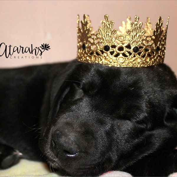 Pet Crown / Gold & Red Lace Crown /  gold lace crown for dog or pet / Photo Prop  / Cat crown