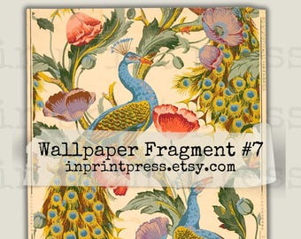 Antike Pfau Tapetenfragment: Druckbares Junk Journal Ephemera (Digitaler Download)