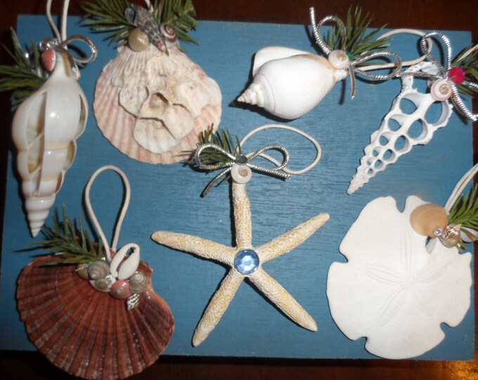 Seashell Christmas Ornament - Etsy