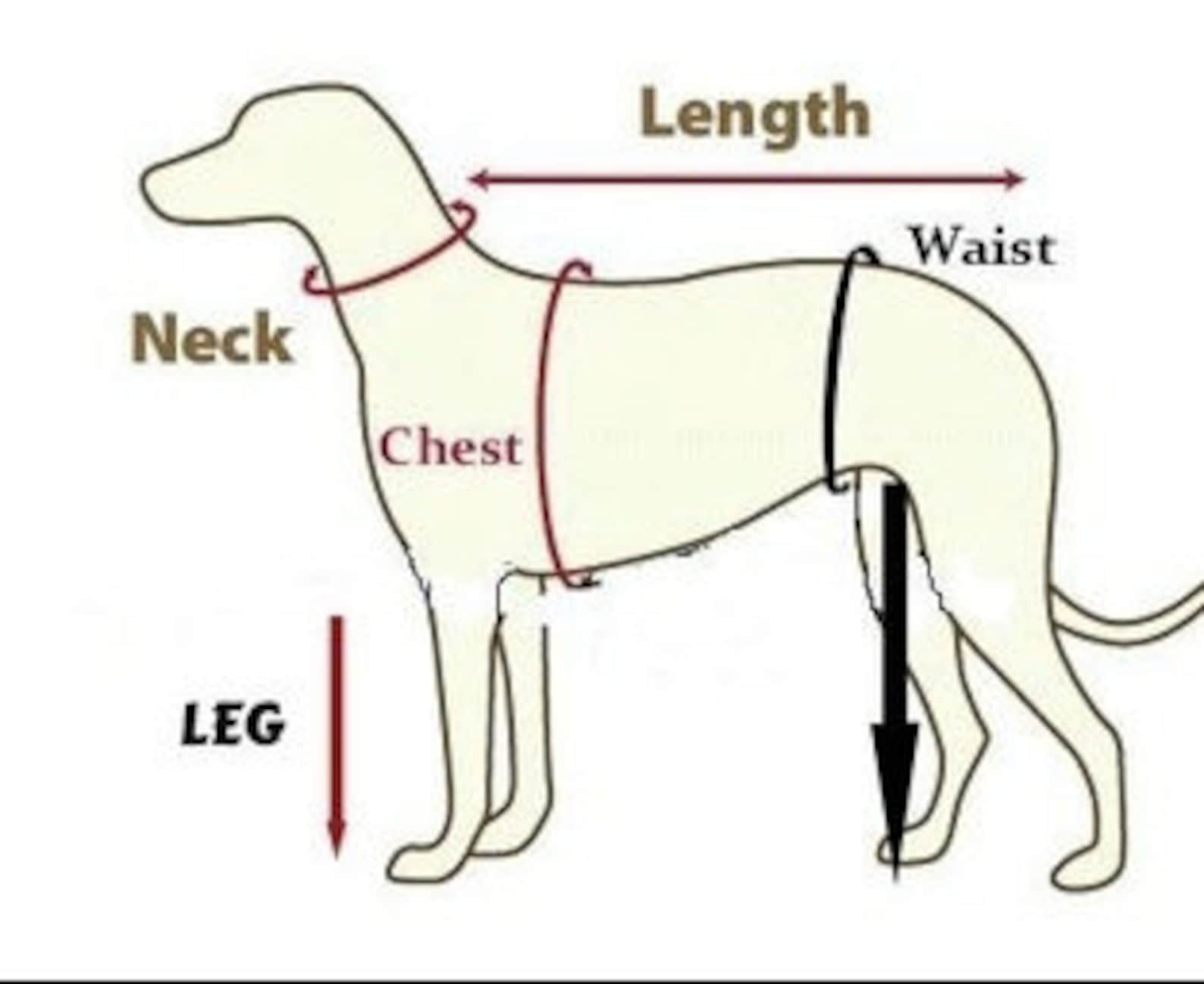 Custom Boutique Dog Diaper Diaper Female Dog Diaper Dog Etsy