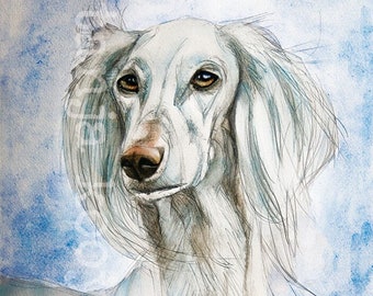 Saluki, saluki art, saluki painting, white saluki, saluki portrait, saluki print, saluki wall art