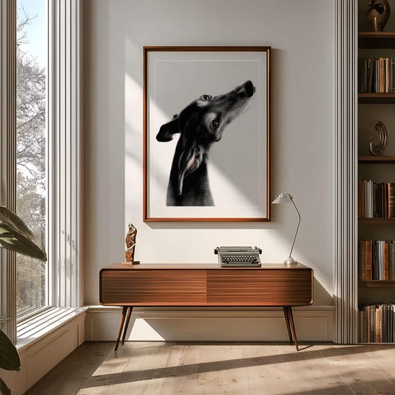 Greyhound print,  Greyhound art, Galgo print, galgo art, black greyhound, gift greyhoundlover, black greyhound print, black galgo print