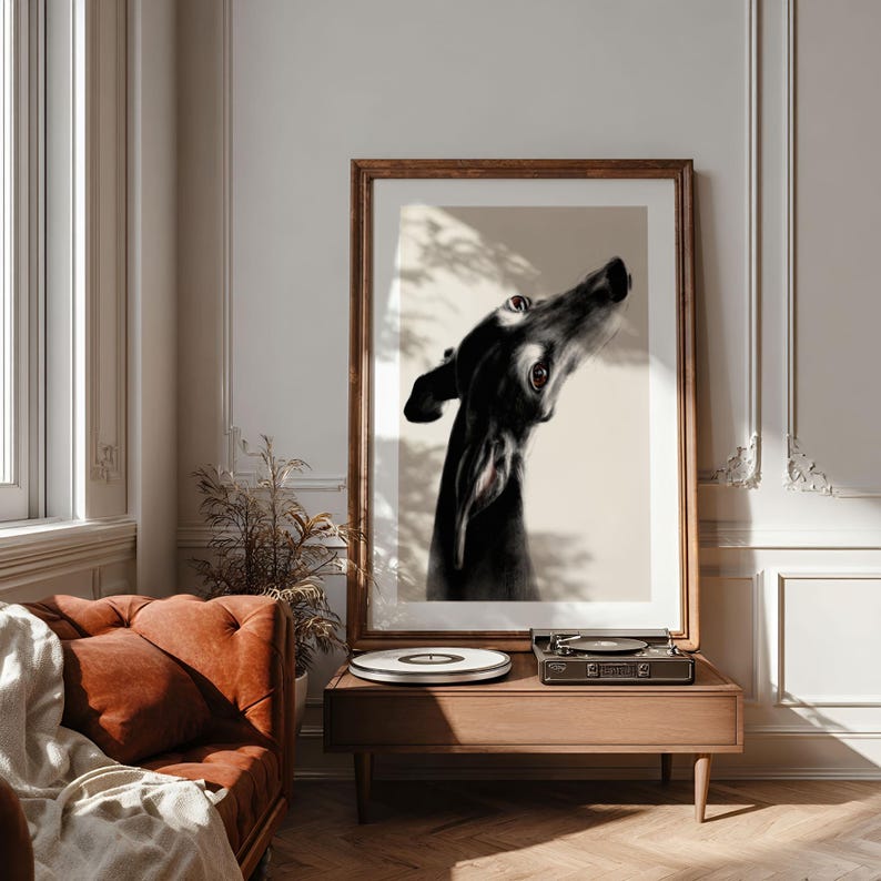 In the image: A framed giclée art print featuring a black-and-white image of a black Galgo looking back. The greyhound's head and neck are centered against a white background, giving the whole a minimalist impression. The artwork is displayed on a wooden table with a record player and a vinyl record in a mid-century style living room.