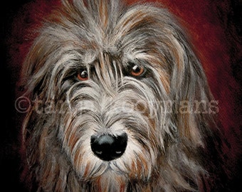 Irish Wolfhound, Wolfhound print, Greyhound art, greyhound print, Sighthound Lurcher Galgo print size  8x12 inch
