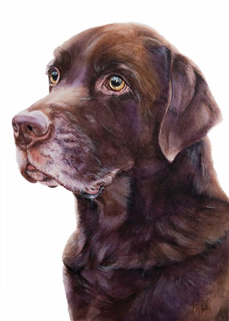 portrait dog chocolate dog lab Labrador Dog Art print brown dog golden retriever petportrait size 8x12 inch hunting dog