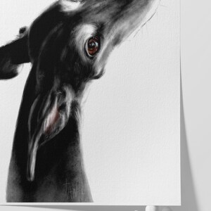 A close-up of the giclee print on Hahnemühle German Etching paper. This premium, heavyweight paper features a subtle, velvety texture that perfectly captures the charcoal-like depth of the black fur and the delicate highlights of the Galgo's gaze, offering a museum-quality finish that feels truly artisanal