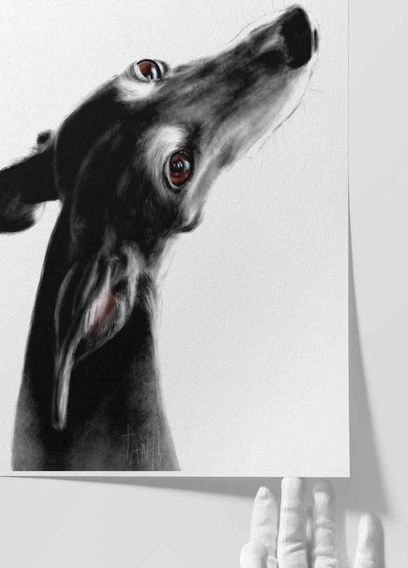 A close-up of the giclee print on Hahnemühle German Etching paper. This premium, heavyweight paper features a subtle, velvety texture that perfectly captures the charcoal-like depth of the black fur and the delicate highlights of the Galgo's gaze, offering a museum-quality finish that feels truly artisanal