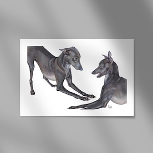 italian greyhound print, Italian sighthounds, Italian Greyhound, Iggy, Italian Geyhound, iggy art, tanja kooymans, iggy wall art