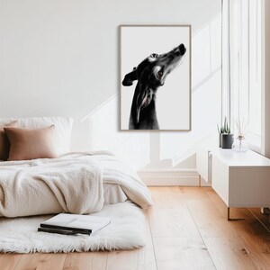 Make a soulful statement in your bed room with 'Always There.' The vertical composition and the noble presence of the Galgo create a sophisticated focal point. The white background version offers a clean, modern feel, while the black background adds a touch of dramatic, moody elegance to any gallery wall.