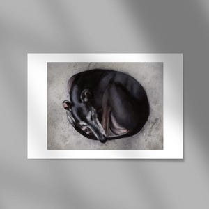 Windhund-Druck, Windhund-Kunst, Galgo español Galgo-Druck Windhunde, schwarzer Windhund, schwarzer Galgo, Windhundporträt, Windhundliebhaber