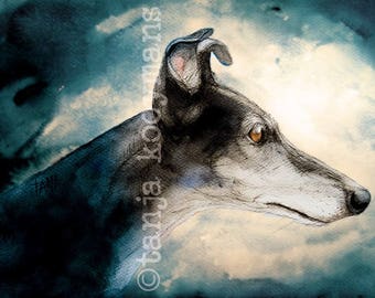 schwarzer Galgo, schwarzer Windhund, Galgo, Windhundkunst, Galgokunst, Geschenk-Windhundliebhaber, schwarzer Windhundliebhaber, Windhunddruck, Windhunde