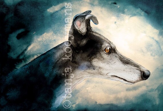 Black Greyhound Greyhound Art Black Galgo Galgo Art Galgo Etsy