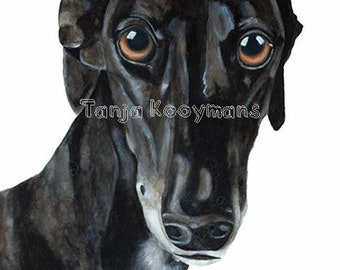 Greyhound Galgo, Sighthound, Black Greyhound, Lurcher, Sighthound, Dog, black dog, Art print  8x12 inch