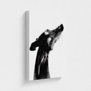 Detail of the giclee canvas print showcasing the professional mirror wrap. The artwork’s edges are mirrored onto the sides of the frame, creating a seamless and modern 3D effect. Whether you choose the white or black background version, the elegant lines of the Galgo flow beautifully around the edges for a clean, gallery-ready look.