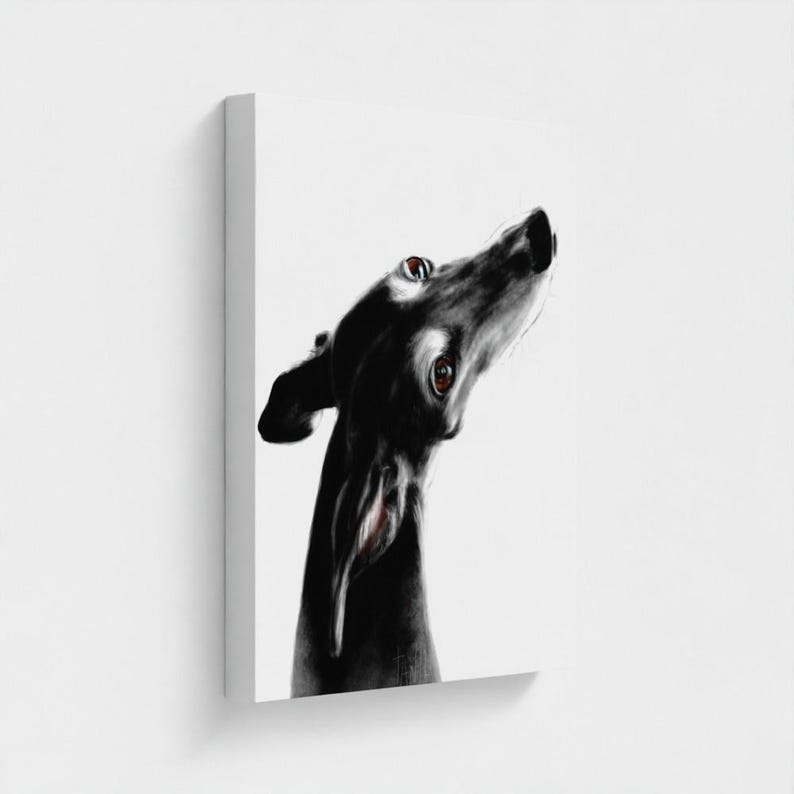 Detail of the giclee canvas print showcasing the professional mirror wrap. The artwork’s edges are mirrored onto the sides of the frame, creating a seamless and modern 3D effect. Whether you choose the white or black background version, the elegant lines of the Galgo flow beautifully around the edges for a clean, gallery-ready look.