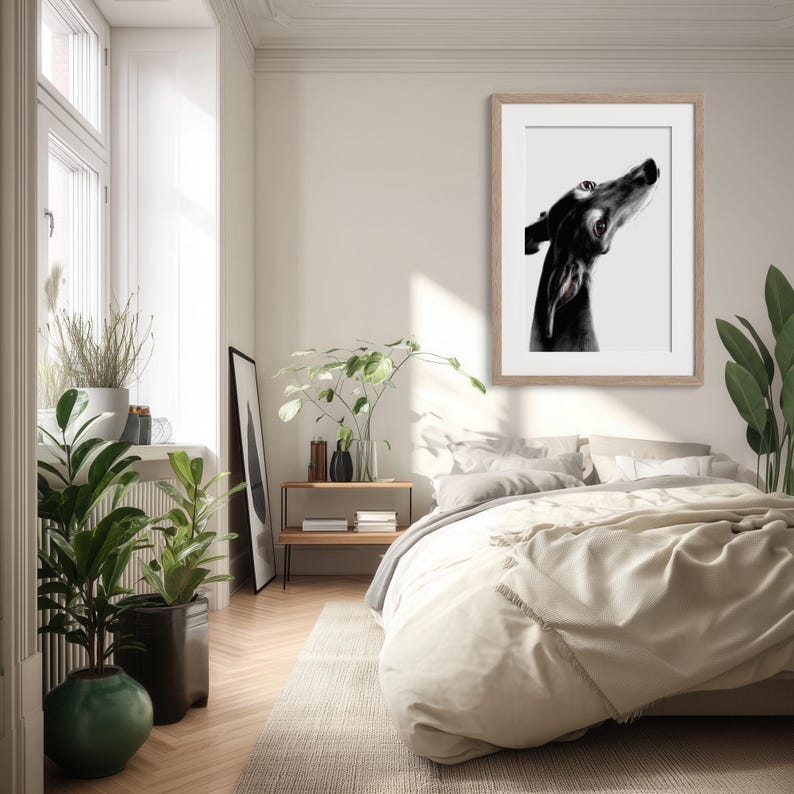 Bring a sense of calm and watchful companionship to your bedroom. This intimate portrait of black Greyhound Trijn, with her gentle and loyal expression, adds a peaceful and artistic atmosphere to your personal sanctuary, serving as a beautiful reminder of the resilience of rescue animals.
