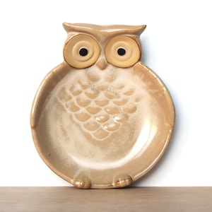 May include: A ceramic owl dish with a light brown glaze. The owl has large, round eyes with black pupils and a textured body.