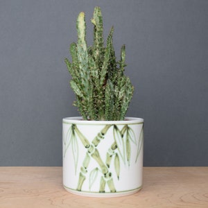 Puede incluir: Una planta de cactus verde en una maceta de cerámica blanca con un diseño de bambú verde.