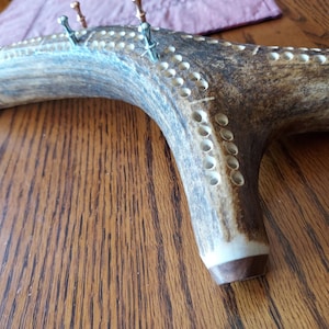 May include: A cribbage board crafted from a curved, textured brown antler featuring three parallel rows of drilled holes. The board includes several metal pegs in silver and copper tones inserted into the holes along the top surface.