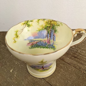 Aynsley teacup, Aynsley Blue bell time corset, teacup only fine china