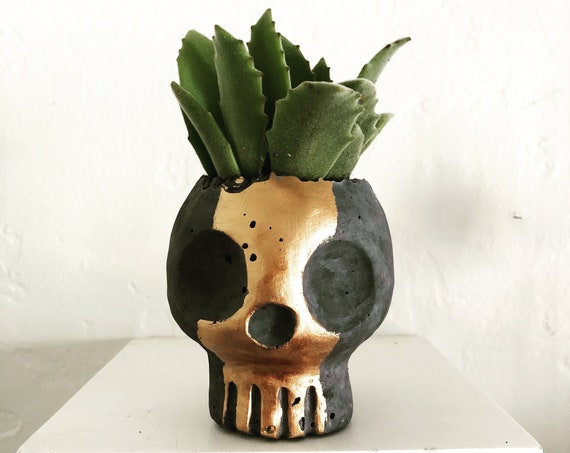 PeaboSkull Skull Planter 2018 V2.0 - Hypertufa