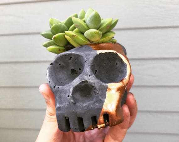 Peabo Skull 2017 V.2 / Cement
