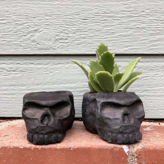 PeaboSkull Skull Planter 2018 - Hypertufa