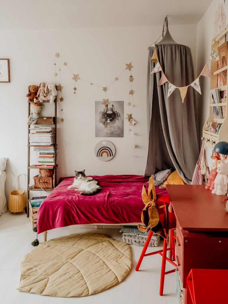 May include: A child's bedroom with a red bed, a gray canopy, a leaf-shaped rug, a red desk, and a wooden shelf with books and stuffed animals.