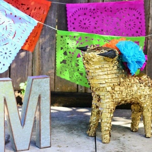 May include: A gold pinata shaped like a bull with blue and orange paper decorations. The pinata is sitting on a wooden surface in front of a wooden wall with a string of colorful paper flags hanging above it. The letter "M" is in the foreground.