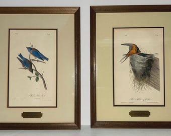 2 FRAMED Audubon 1st Ed 1840 Birds of America Western Bluebird, Swallow, Plaques
