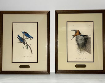 2 FRAMED Audubon 1st Ed 1840 Birds of America Western Bluebird, Swallow, Plaques