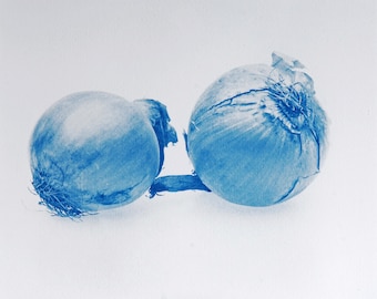 Blauwdruk oftewel cyanotype ui.