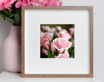 Rosa Garten Rosen Fotografie Druck | Frühling und Sommer Fotografie | Rosa Botanische Fotografie Drucke | Feminine rosa Rose Wanddekor