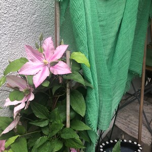 緑